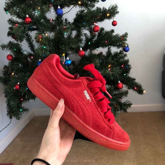 pumas - Picture 2 of 6